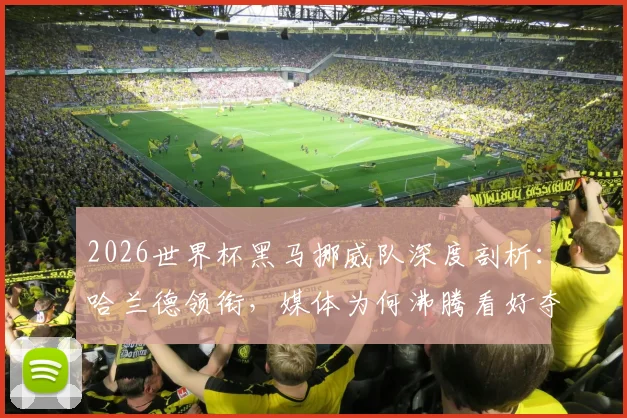 2026世界杯黑马挪威队深度剖析：哈兰德领衔，媒体为何沸腾看好夺冠？附夺冠可能性与阵容实力解读